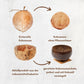 Herstellungsprozess Kokosnuss Schale - Natur Schale und polierte Schale